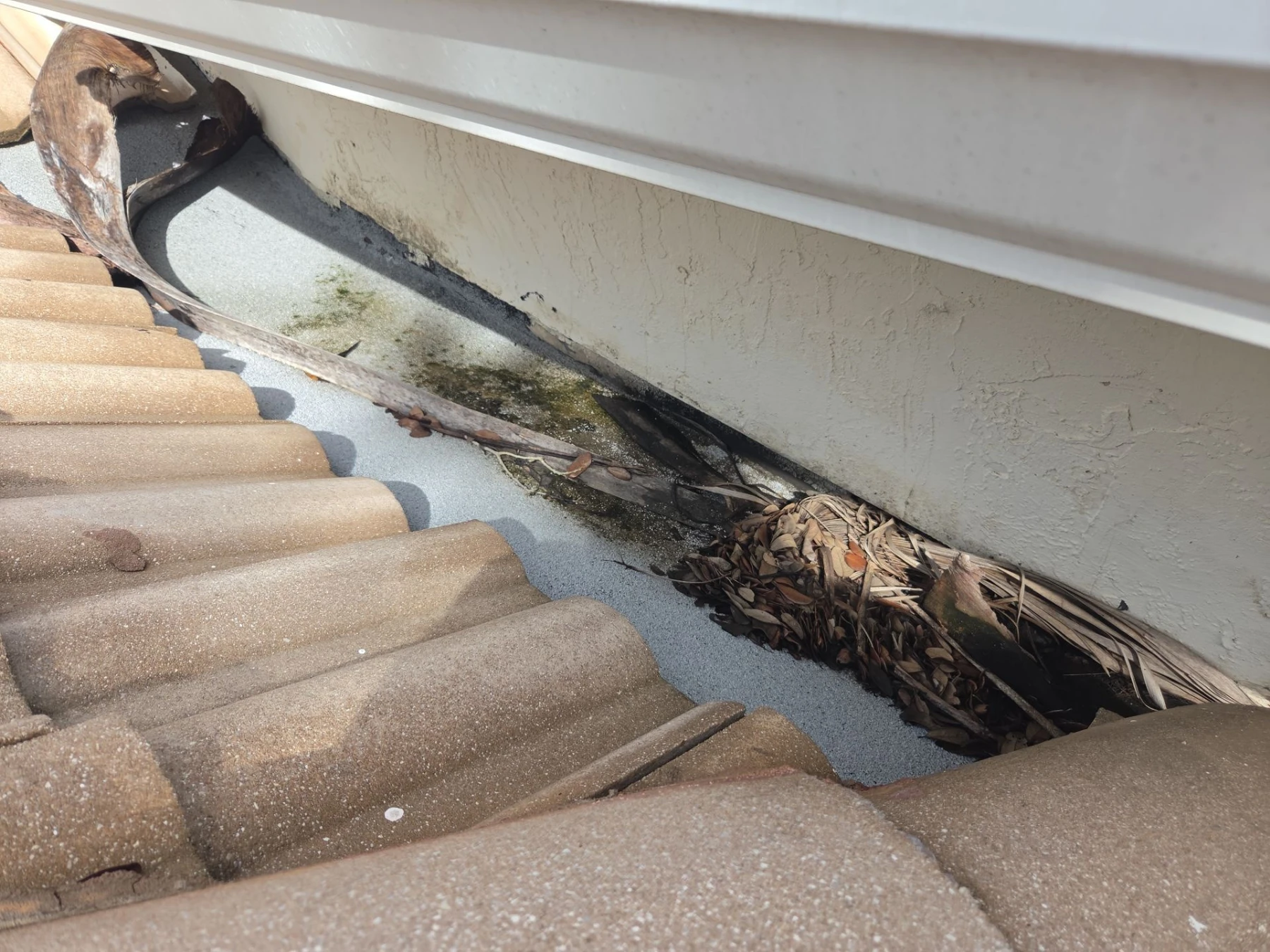 Actual KLR job: exposed roof-to-wall detail beneath stucco